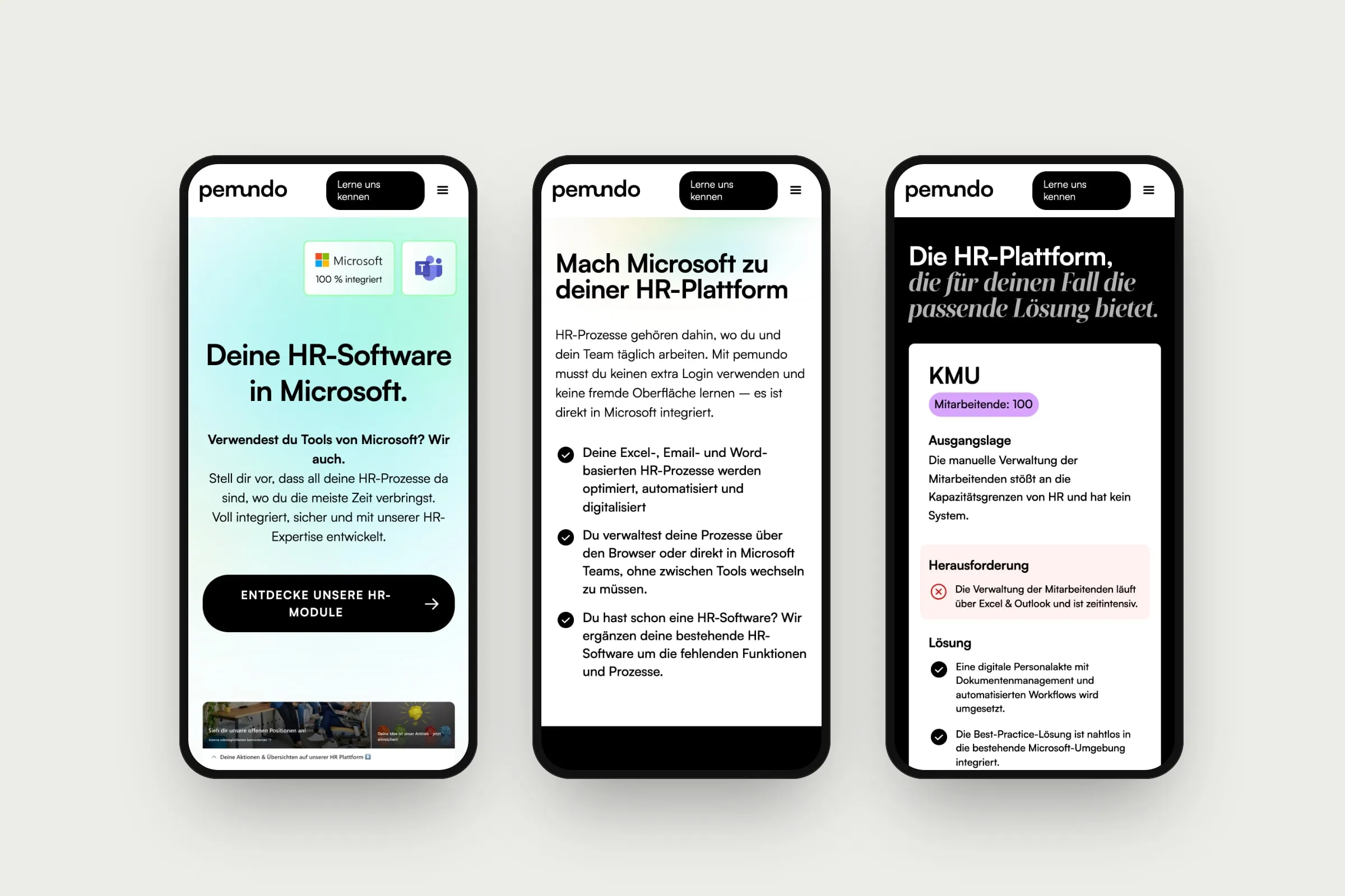 The pemundo website on mobile